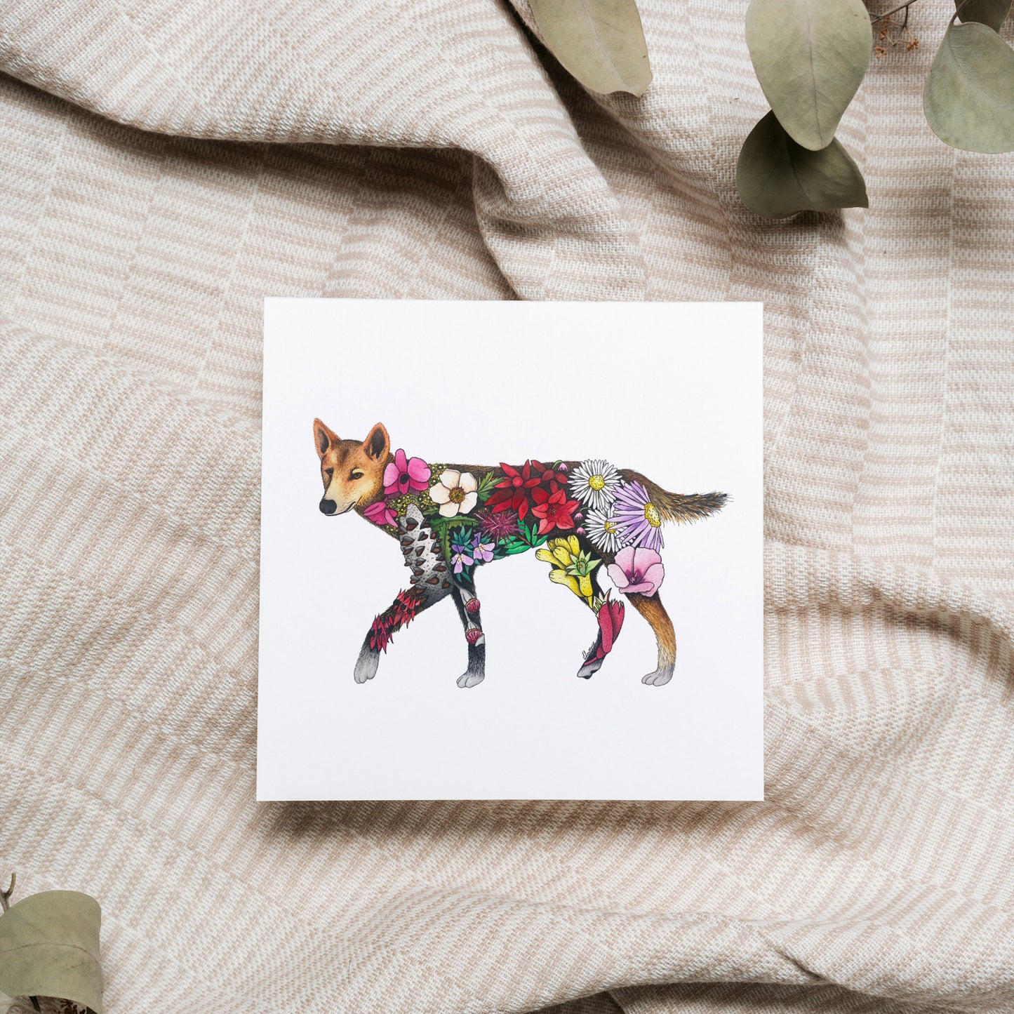 Watercolour Dingo Greeting Card