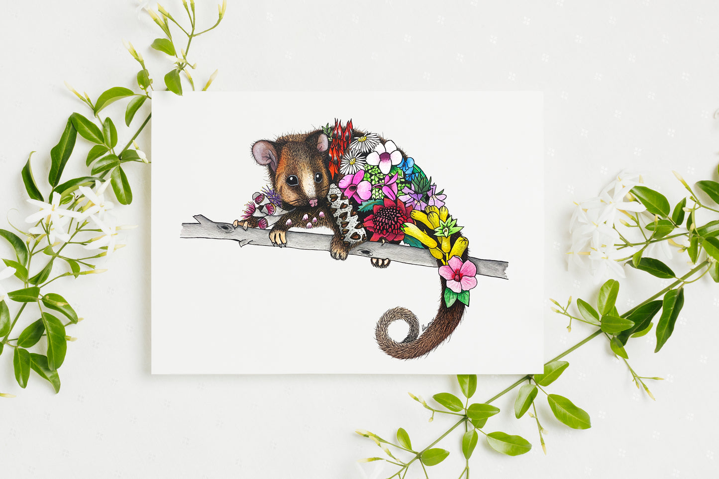 Watercolour Possum Artwork