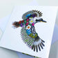 Watercolour Australian Native Animal Greeting Card Pack of 4