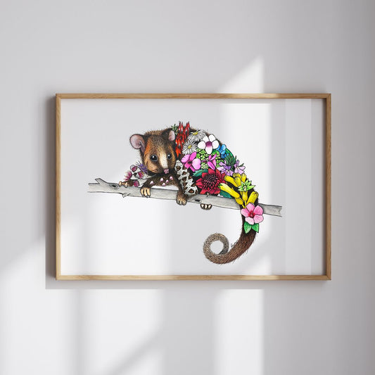 Watercolour Possum Artwork