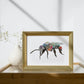 Watercolour Stingless Bee Artwork